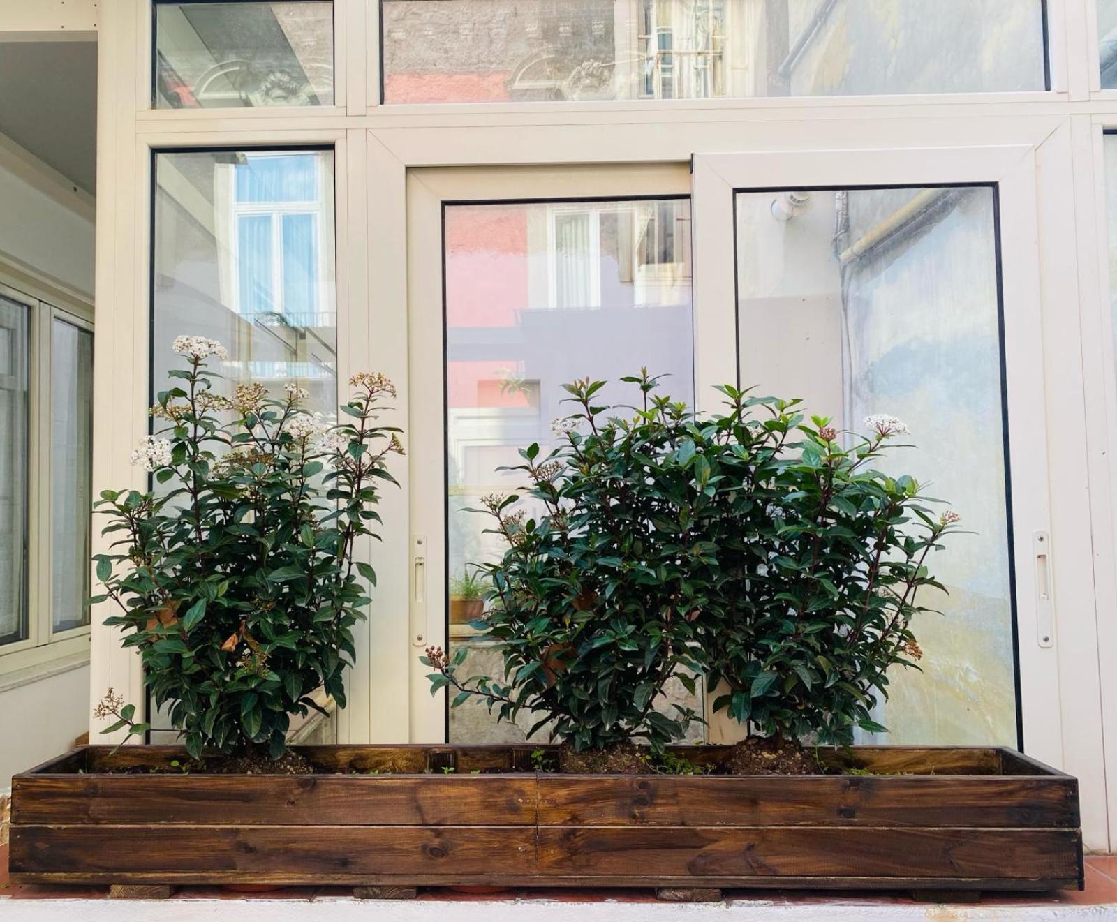 Appartamento La Casa di Apollo Napoli Esterno foto